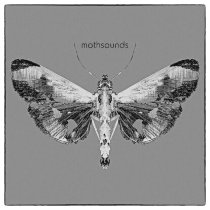 Mothsounds Cover Art