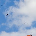 Mt. Washington Pumpkin Chuck